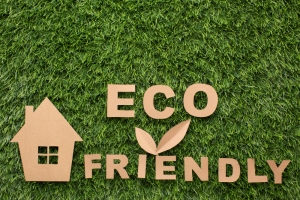 Green Home: Eco Insulation